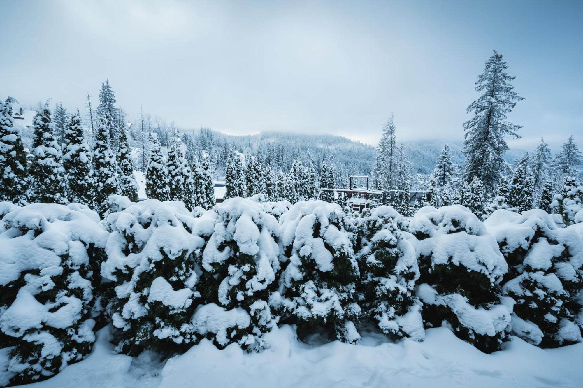 Visitzakopane - Janosik Apartment ภายนอก รูปภาพ