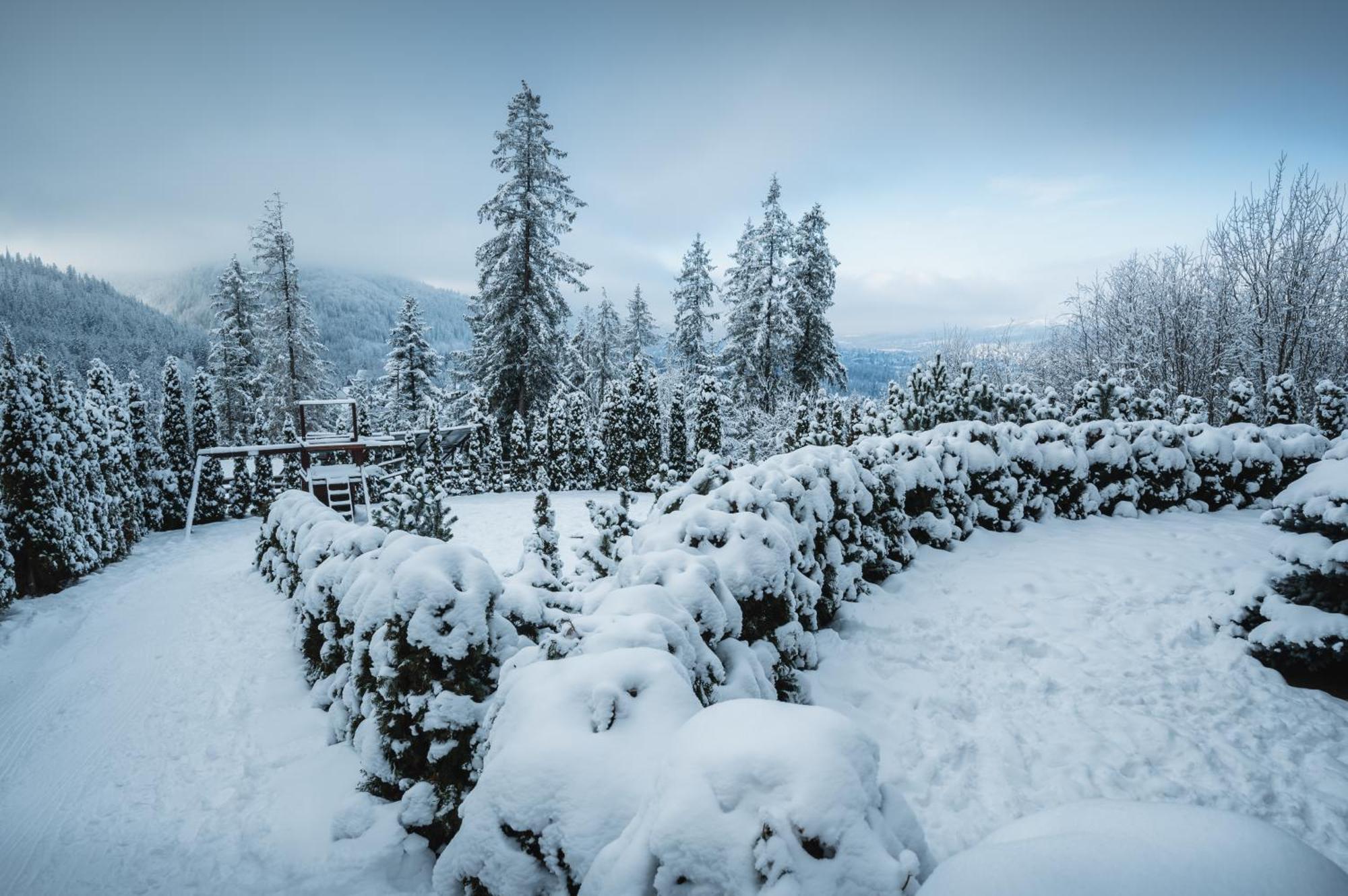 Visitzakopane - Janosik Apartment ภายนอก รูปภาพ