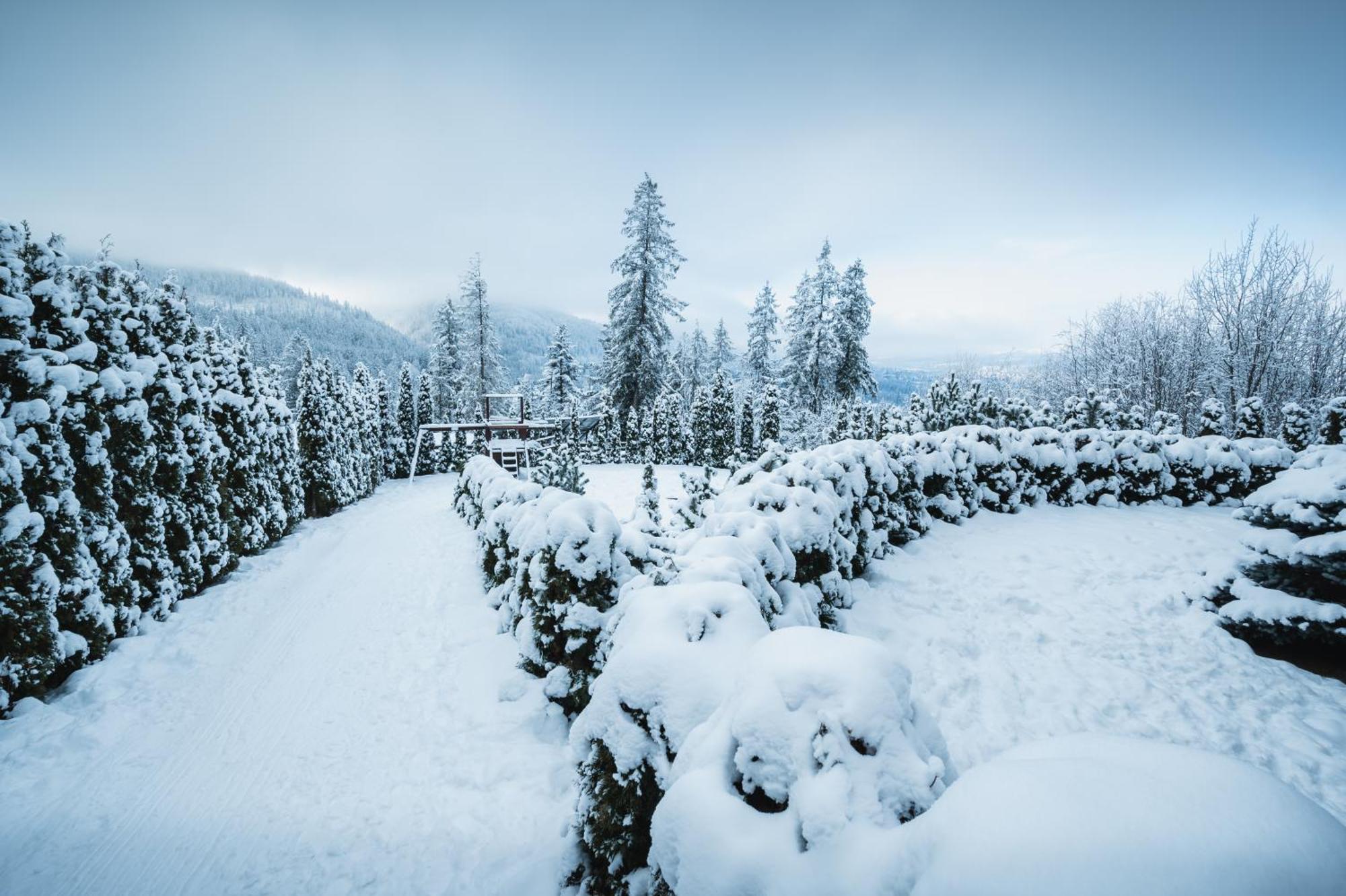 Visitzakopane - Janosik Apartment ภายนอก รูปภาพ
